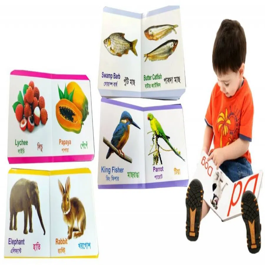Kids Education Books 12 Pcs